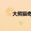 大熊猫奇一：自然之宠，和谐使者