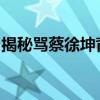 揭秘骂蔡徐坤背后的梗：网络争议与现实反思