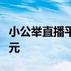 小公举直播平台：探索新一代网络直播的新纪元