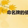 命名牌的使用指南：轻松掌握命名技巧