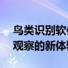 鸟类识别软件——识鸟大师，为您带来鸟类观察的新体验！