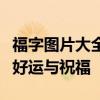 福字图片大全：精选各类福字图片，为您带来好运与祝福