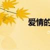爱情的心语：追寻幸福的旅程