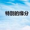 特别的缘分：探寻命运中的不可言喻连结