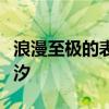 浪漫至极的表白情话，唤醒你我心间的情感潮汐