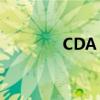 CDA：数据分析的关键所在