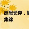 感恩长存，情深寄贺卡 —— 感恩节贺卡内容集锦