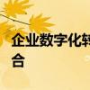 企业数字化转型的全面方案：策略与实践相结合