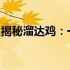 揭秘溜达鸡：一种全新的养殖模式与生活体验