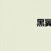黑翼之巢神秘药水大揭秘