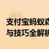 支付宝蚂蚁森林刷能量攻略大揭秘：有效方法与技巧全解析