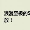 浪漫至极的520表白语句，让爱意在字句间绽放！