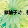藏情于诗，爱意表白——藏头诗精选大全