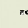 西瓜妹：揭秘背后的故事