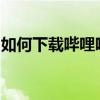 如何下载哔哩哔哩网页版视频？详细步骤解析