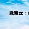 脉宝云：引领未来的云计算服务平台