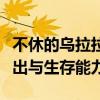不休的乌拉拉德鲁伊技能搭配攻略：最大化输出与生存能力