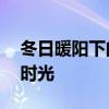 冬日暖阳下的朋友圈，记录我与12月的温馨时光
