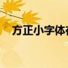 方正小字体在数字时代的独特魅力与应用