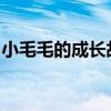 小毛毛的成长故事：探索成长之路的点点滴滴