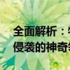 全面解析：物理伤害免疫——免受一切物理侵袭的神奇领域