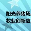 阳光养猪场APP：智能养殖管理与监控的畜牧业创新应用