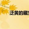泛黄的藏宝图：揭开古老秘密的线索