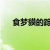 食梦貘的踪迹：探寻其频繁出没的地点