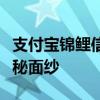 支付宝锦鲤信小呆：揭秘背后的幸运故事与神秘面纱