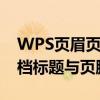 WPS页眉页脚设置详解：轻松自定义你的文档标题与页脚
