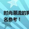 时尚潮流的狗狗名字大全，潮流洋气的狗狗命名参考！