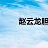 赵云龙胆——无双之魂的勇武之旅