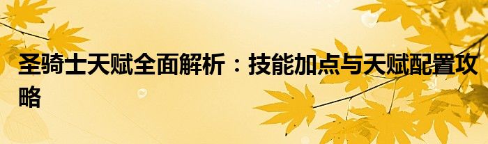 圣骑士输出加点（圣骑士加什么技能）