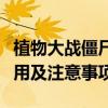 植物大战僵尸英文版修改器全解析：功能、使用及注意事项