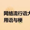 网络流行语大全：一网打尽当下最热门的网络用语与梗
