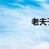 老夫子铭文解析与搭配指南