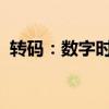 转码：数字时代的编码转换挑战与解决方案