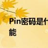 Pin密码是什么？全面解析Pin密码概念与功能