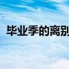 毕业季的离别与重逢：一段永恒的青春记忆