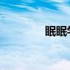 眠眠学法官网电脑登录指南
