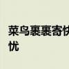 菜鸟裹裹寄快递服务详解：轻松寄件，便捷无忧