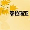 泰拉瑞亚：蜂后的神秘世界探险指南