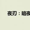 夜刃：暗夜中的利刃，无声无息的力量