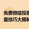 免费微信投票高效刷票攻略：轻松提升投票数量技巧大揭秘！