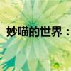 妙喵的世界：探索一个与众不同的猫咪故事