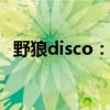 野狼disco：揭秘一种与众不同的音乐风格
