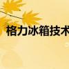 格力冰箱技术解析：优势、性能与应用价值