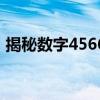 揭秘数字4566：背后的神秘故事与深层含义