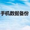 手机数据备份：保护你的数字生活的关键步骤