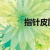 指针皮肤的深度解析与应用指南